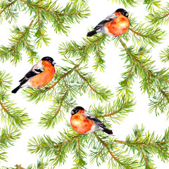 Seamless background with bullfinches, tits and fir branches