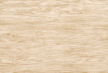 clear expressive unique oak wood pattern. flooring made of natural wood - obrazy, fototapety, plakaty