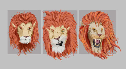 Lion Faces