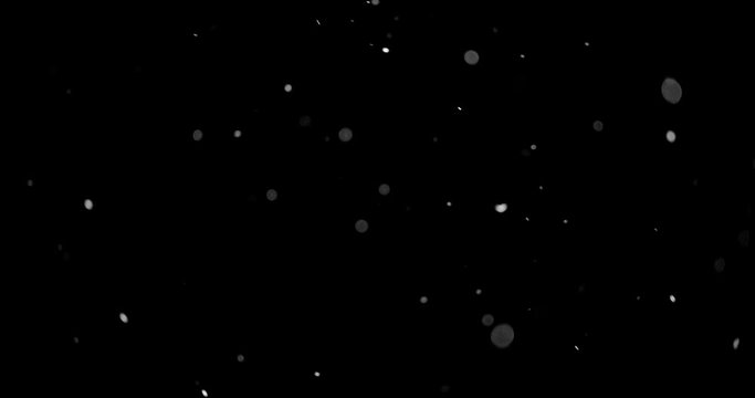 Flying dust particles on a black background