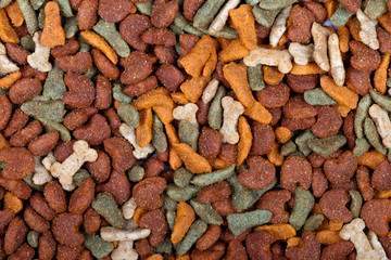 Dry dog food used as background