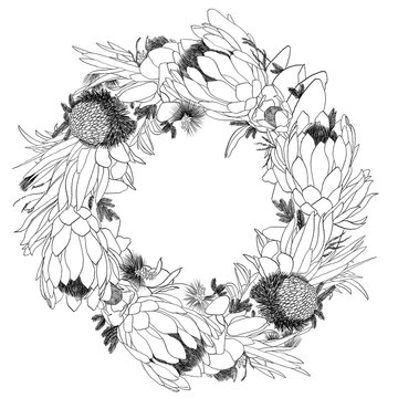 Australian Flower Floral Wreath Line Drawing