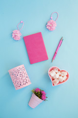 Flat lay girly, pale pink items for planning, notepads, pens, office work or working at home on her laptop, on the pale blue background, with place for labels. Concept Desk.