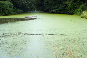  nature reserve altmühl river in Bavaria                              