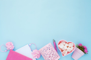 Flat lay girly, pale pink items for planning, notepads, pens, office work or working at home on her laptop, on the pale blue background, with place for labels. Concept Desk.