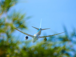 A passenger plane flies to land on a tropical island. View from the bottom up. Dominican Republic.