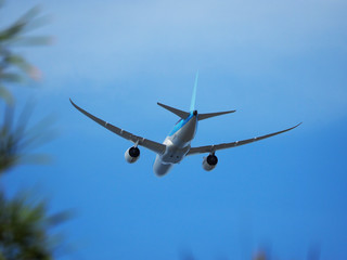 A passenger plane flies to land on a tropical island. View from the bottom up. Dominican Republic.