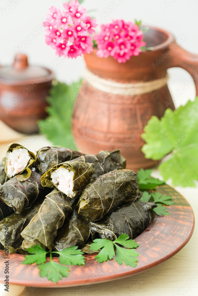 Poster Homemade dolma - stuffed grape leaves. Rice and turkey fillings. Warm dish.