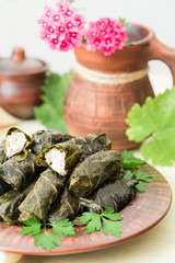 Homemade dolma - stuffed grape leaves. Rice and turkey fillings. Warm dish.