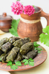 Homemade dolma - stuffed grape leaves. Rice and turkey fillings. Warm dish.