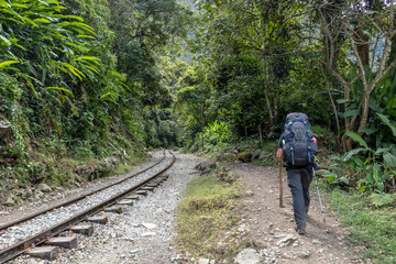 Obraz premium Back view of male hiker with backpack. Tourist man hiking along railroad to Machu Picchu, Peru