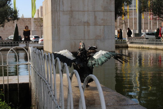 Tocheiro de F&aacute;tima 