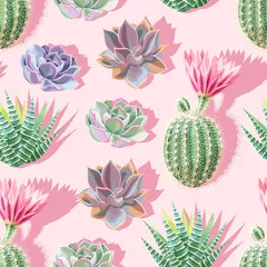 Wallpaper murals Pastel High detail succulent and cactus seamless pattern