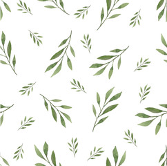 Green leaves and twigs on a white background