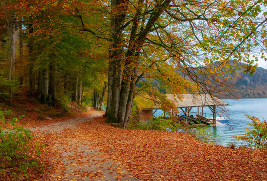 Autumn scenery with park around Alpsee lake and dock for tourist boats, Schwangau, Bavaria, Germany