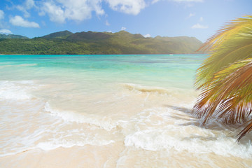 Tropical paradise beach without people. Incredible landscape of a tropical island.