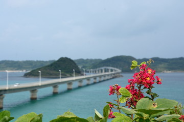 角島大橋