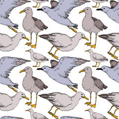 Vector Sky bird seagull in a wildlife isolated. Black and white engraved ink art. Seamless background pattern.