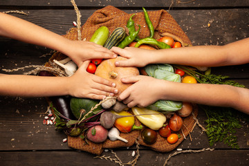 Fresh farm vegetables, organic healthy food. Agriculture harvest.