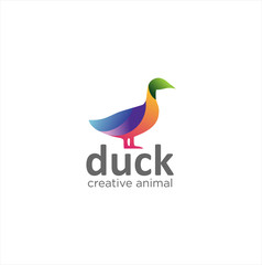 Duck Logo Vector Design Poultry Colorful Illustration