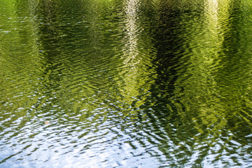 The texture of the water. Beautiful background. Lake in the forest.
