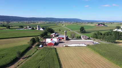 Aerial Kishacoquillas farm Big Valley Pennsylvania cows corn. Pioneer religious settlement. Old Amish Mennonite town. Rural farming landscape. Horse driven farm equipment.