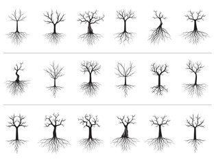 Set of Naked Trees on white background. Vector Illustration and concept pictogram.