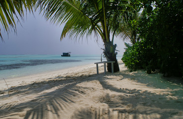 Picnic Island near Maafushi Island Maldives