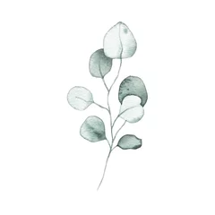 Fotobehang Aquarel eucalyptus stoffig groen blad plant kruid lente flora © madiwaso
