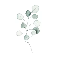  Aquarel eucalyptus stoffig groen blad plant kruid lente flora © madiwaso