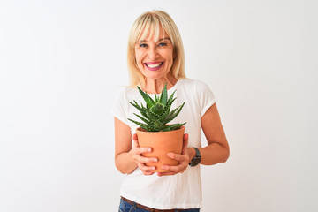 Middle age woman holding cactus pot standing over isolated white background with a happy face standing and smiling with a confident smile showing teeth © Krakenimages.com