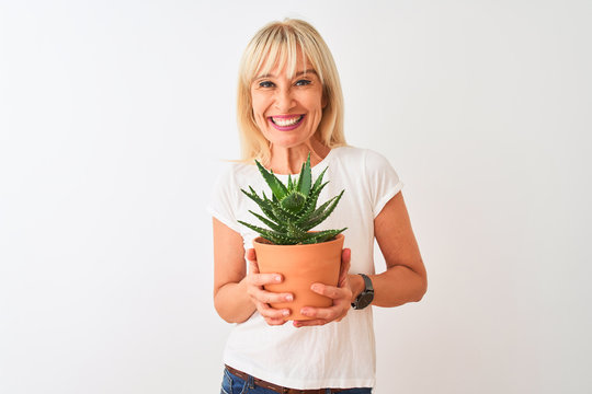 Middle age woman holding cactus pot standing over isolated white background with a happy face standing and smiling with a confident smile showing teeth