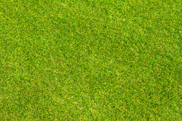 Short cropped green lawn seen from above