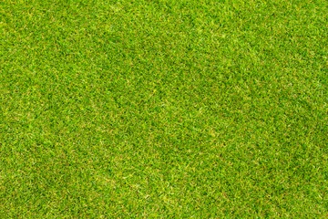 Abwaschbare Fototapete Gras Short cropped green lawn seen from above