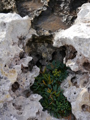 Mallorca