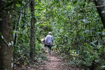 Back view of young adventure tourist at Amazonian rainforest