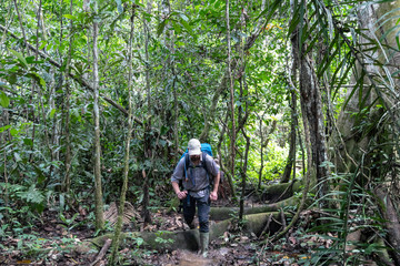 Naklejka na ściany i meble Young adventure tourist at Amazonian rainforest