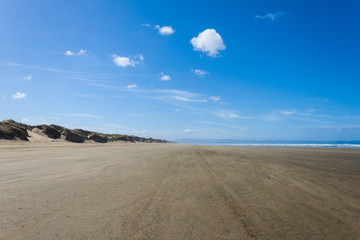 Fototapeta na wymiar sand dunes and blue sky along the beach