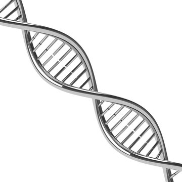 Chromed DNA molecule
