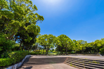 幕張海浜公園の風景