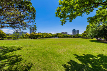 幕張海浜公園の風景