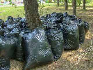 Full black trash bags stand near a tree in a park. Summer, green grass.