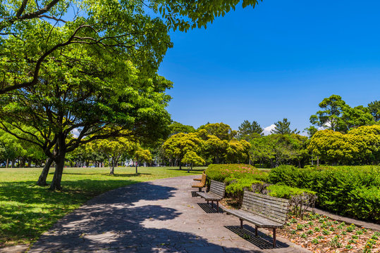 206 Best 幕張海浜公園 Images Stock Photos Vectors Adobe Stock