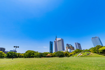 幕張海浜公園と幕張新都心のビルディング