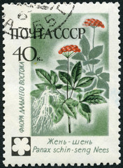 USSR - 1960: shows Ginseng, Asiatic Flowers
