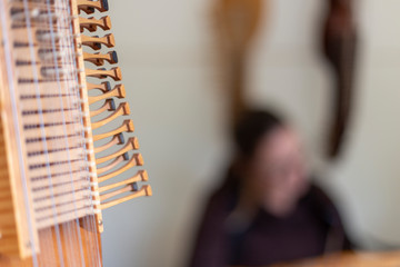Nyckelharp Detail