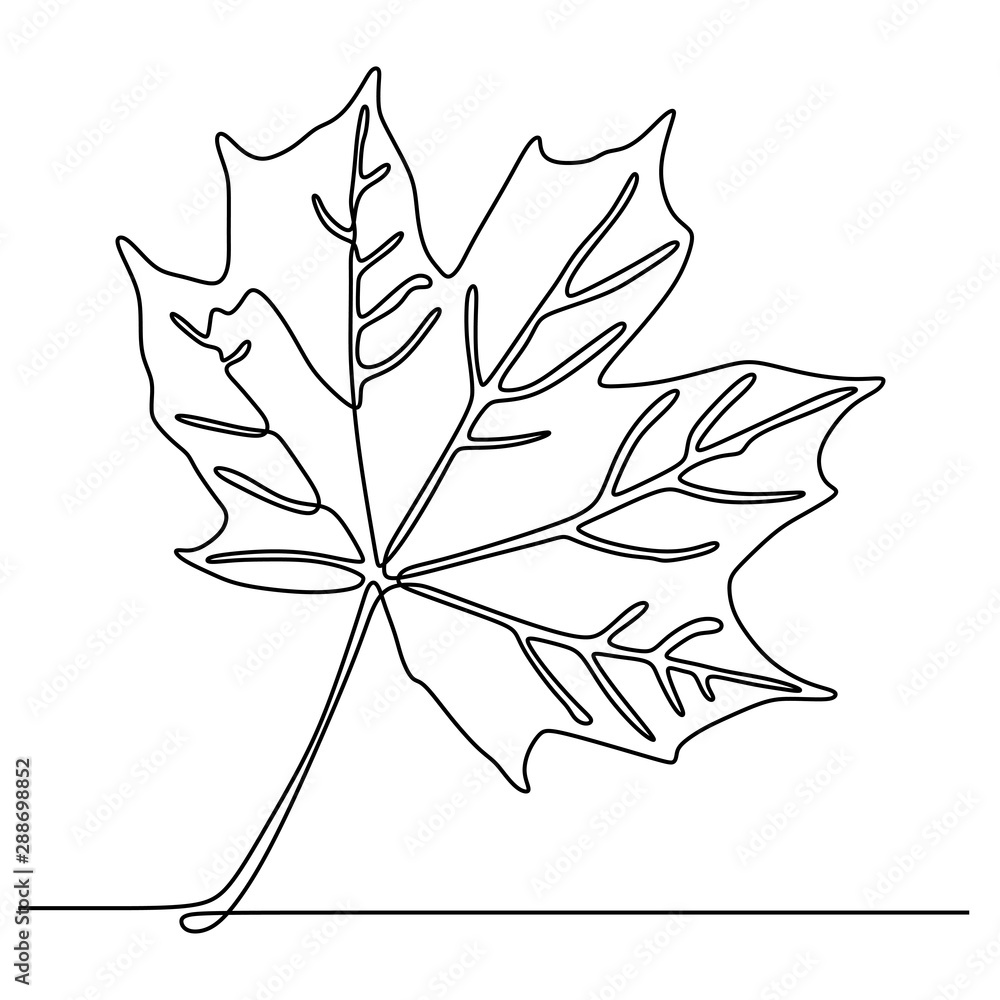 Poster continuous line drawing of maple leaves one hand drawn lineart design isolated on white background
