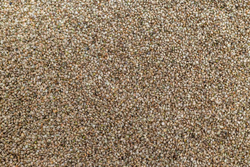 Background texture of CBD hemp seeds.