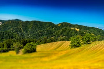 Fotobehang Oranje Landscape  © Bogdan