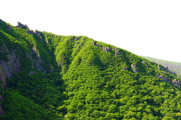 제주에 있는 한라산의 풍경이다.